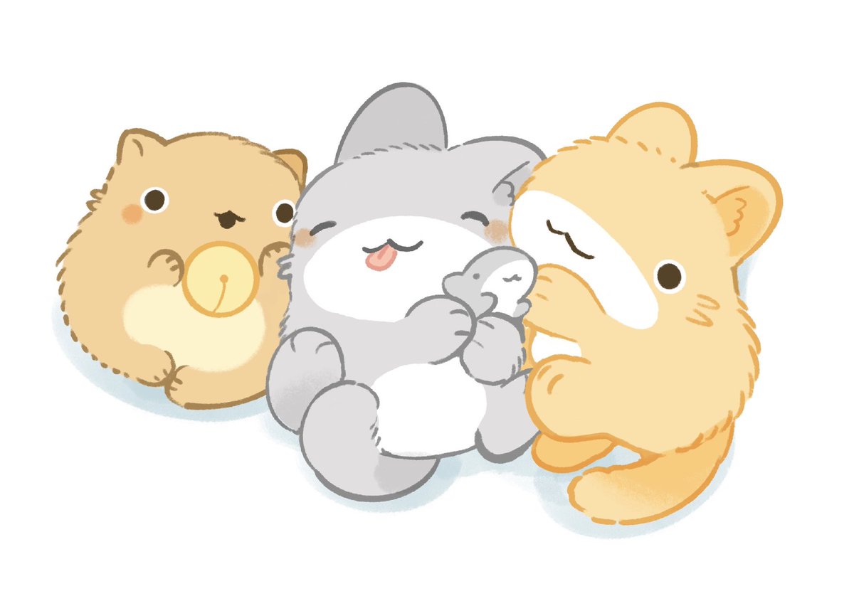 Post by ペンギンボックス@アニメ2期決定&8巻 on X: にゃーん