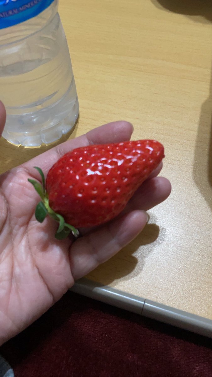 いちごぉーーーーーっ🍓