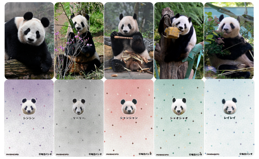 ちびっこ (@chibikko_ent) / Posts / X