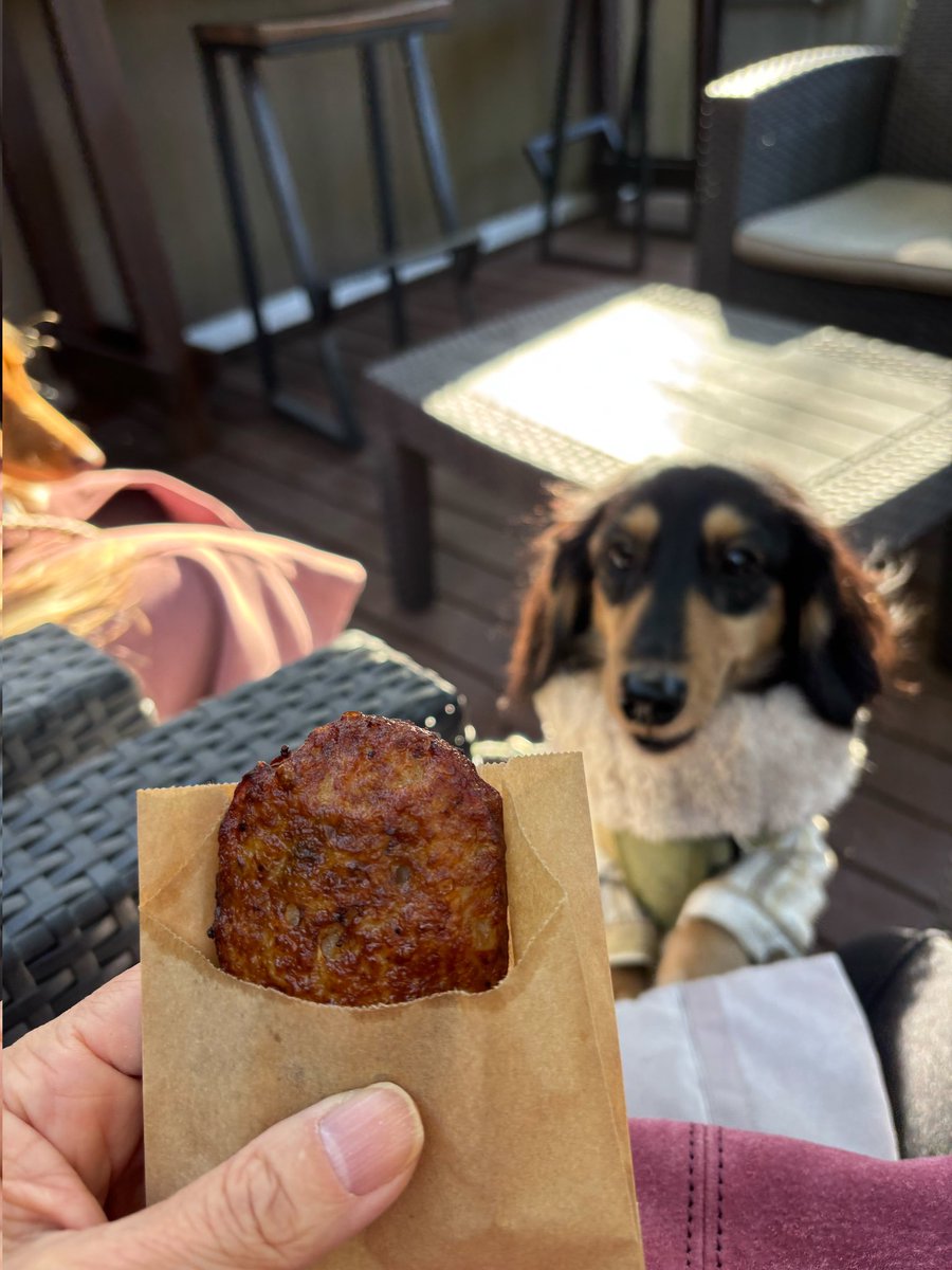 その いかめんち おいしそ〜！！！！