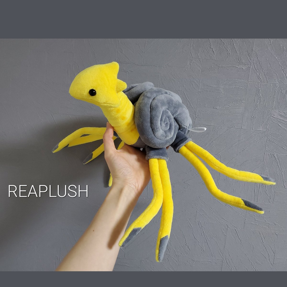 ザラメREAPLUSH@4-18-02WF2026冬 (@reaplush) / Posts / X