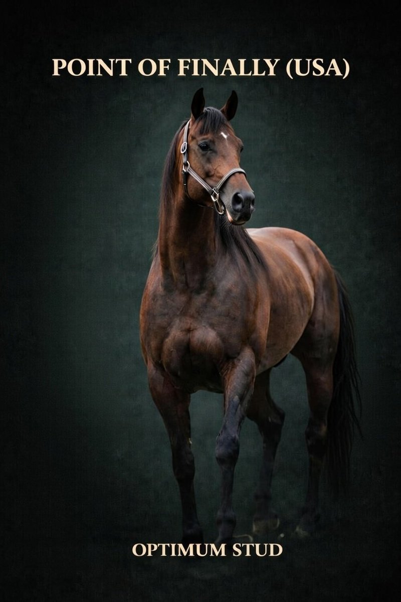 pointoffinally's tweet image. 