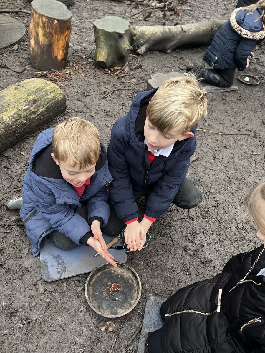 Woodthorpe Primary School tweet media