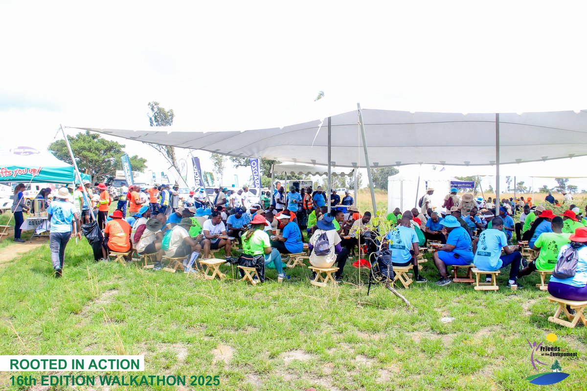 fote_zim's tweet photo. Throw back Thursday...
#PlantATreeToday
#FOTEwalkathon
#EcosystemRestoration
#BuildingCommunitiesTogether
@roadangelszim
@SeedCoZimbabwe
@ScanlinkZim
@NMBBankZim
@AdamMolai https://t.co/DQsVUMMjh8