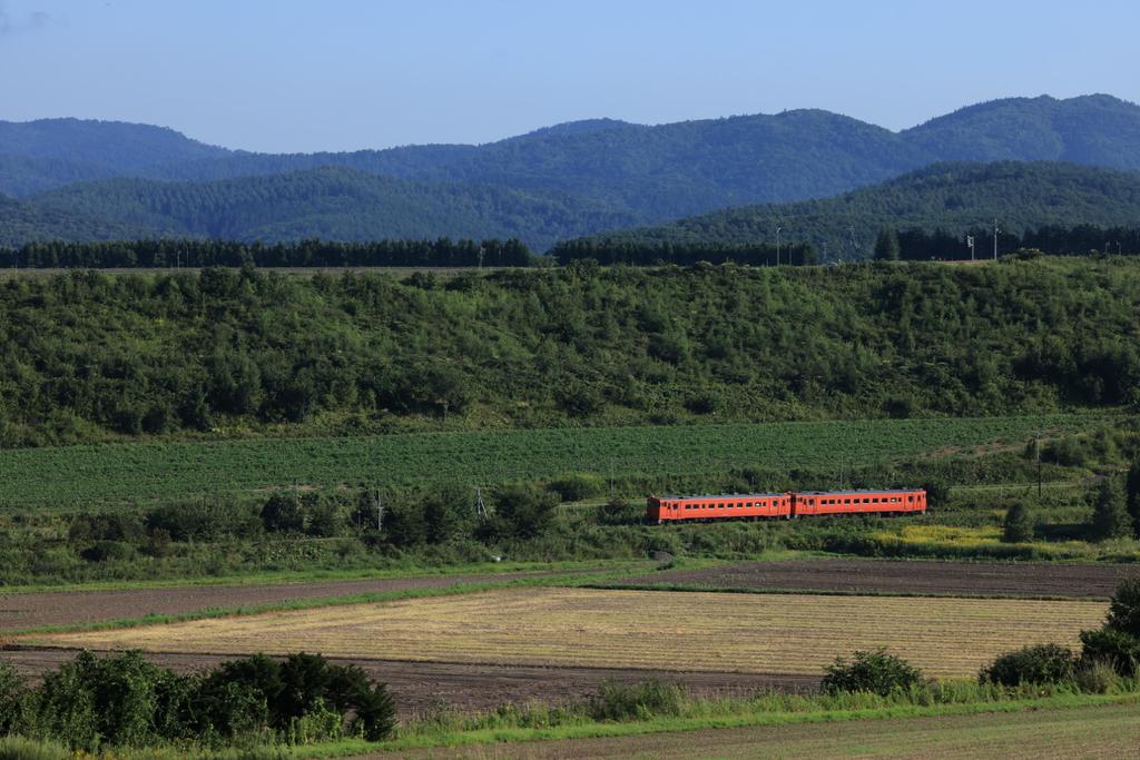 北海道キハ40最終章NO.371 2023年8月26日 4651D 端野～緋牛内にて 快晴