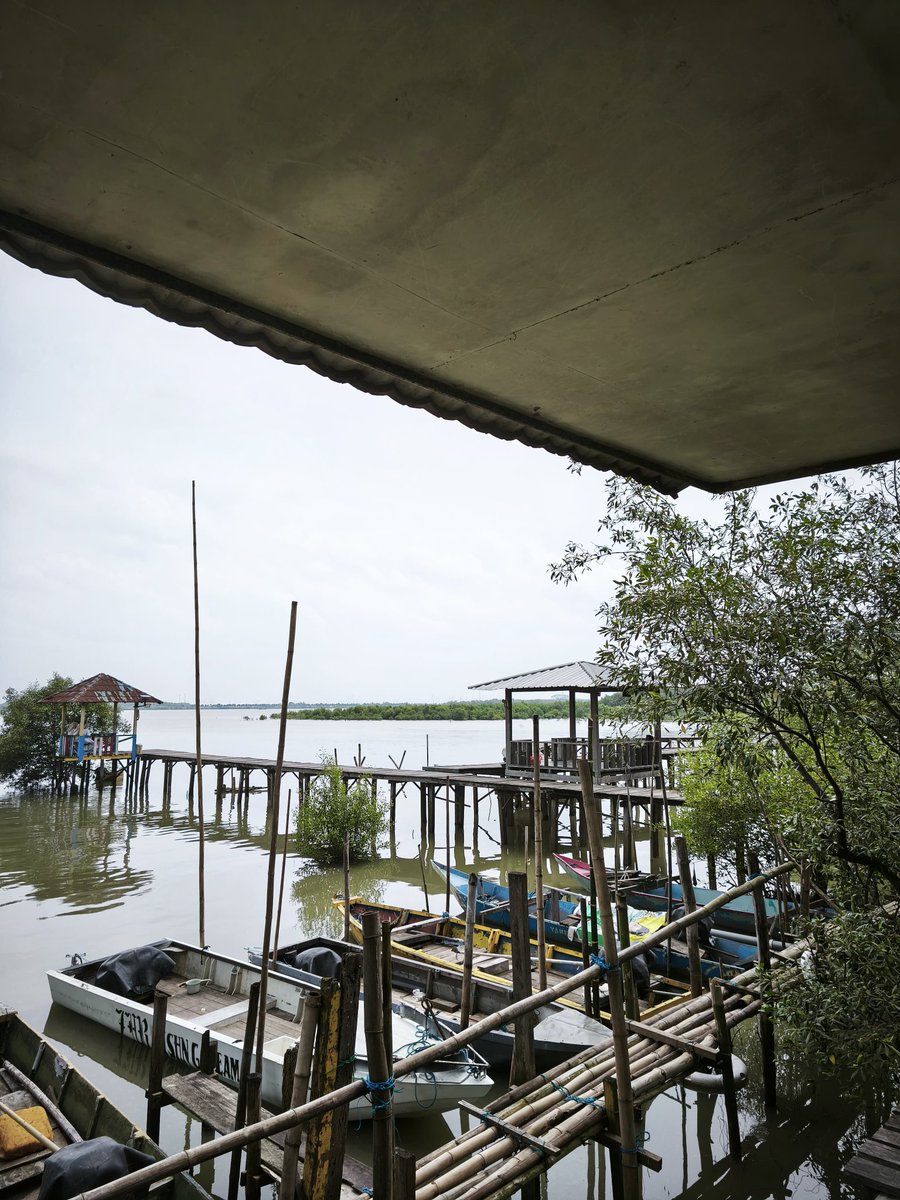Ngeliat ikan tenggelam bang