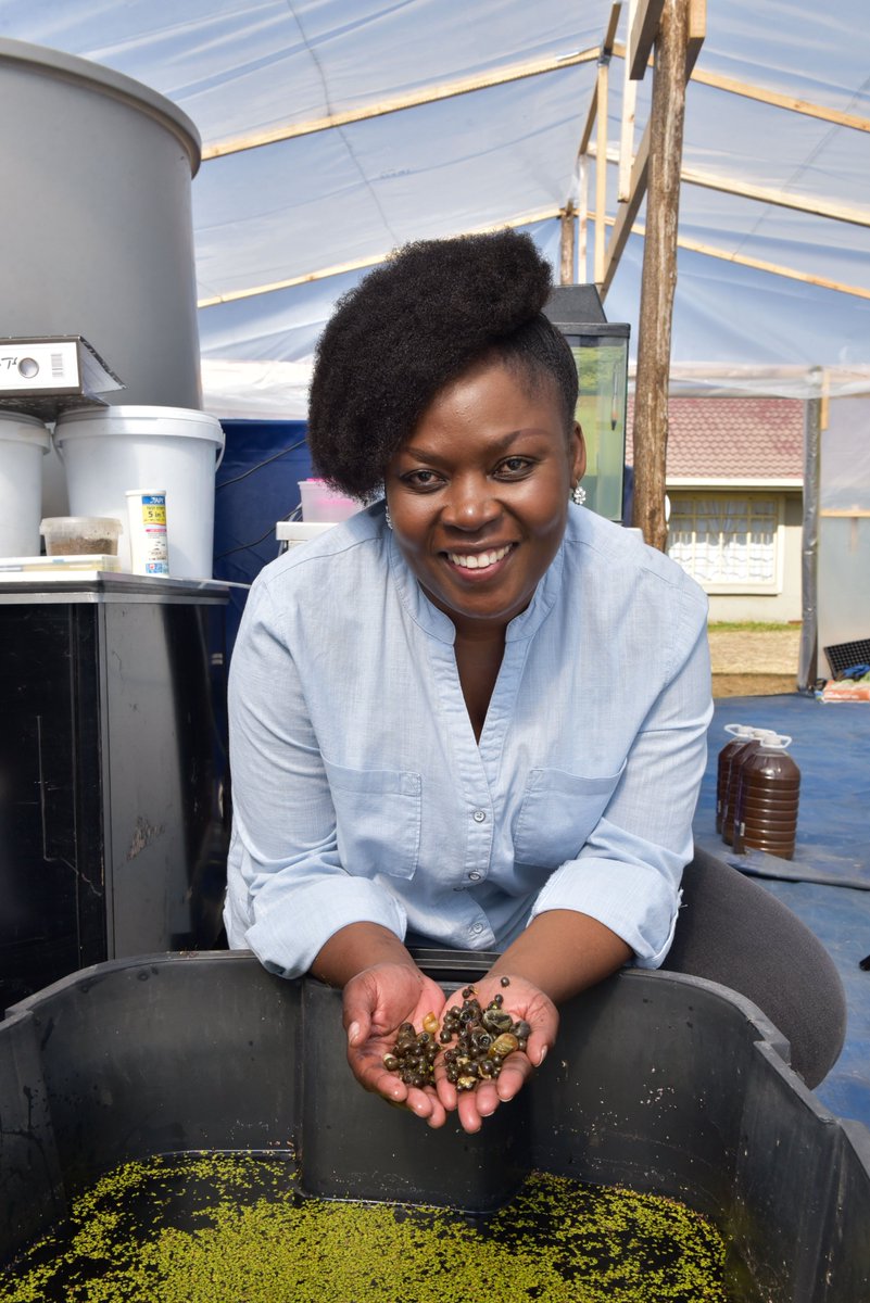 SAB Foundation tweet media