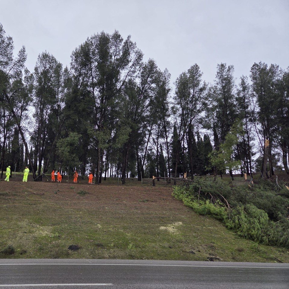 Policía Puente Genil tweet media