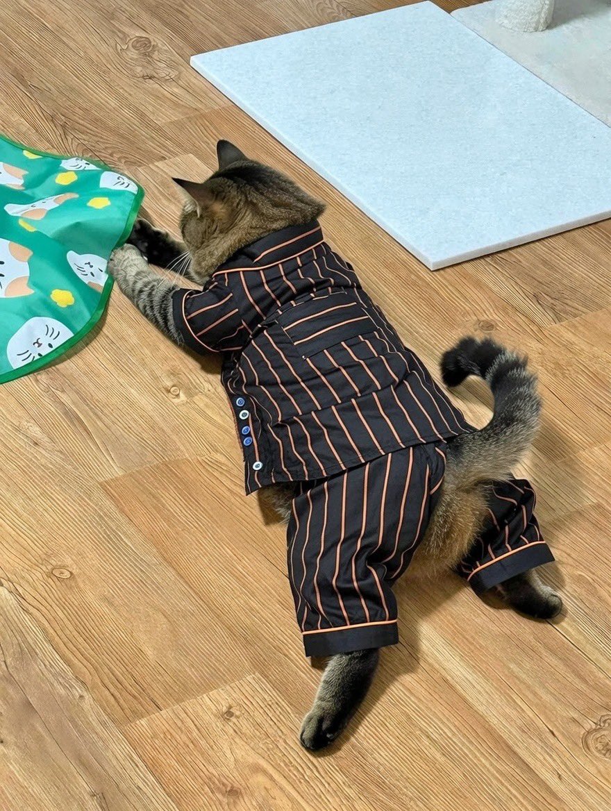 haesam4242's tweet image. 바지 터진 버전도 있음