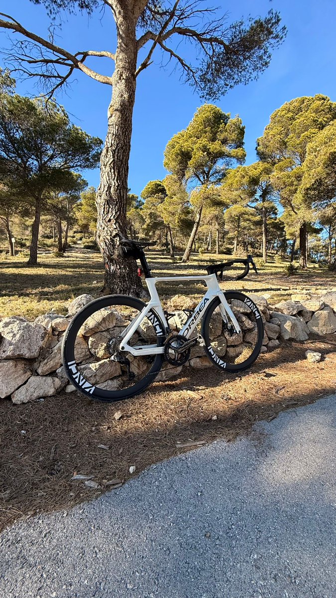 VINCI WHEELS tweet media