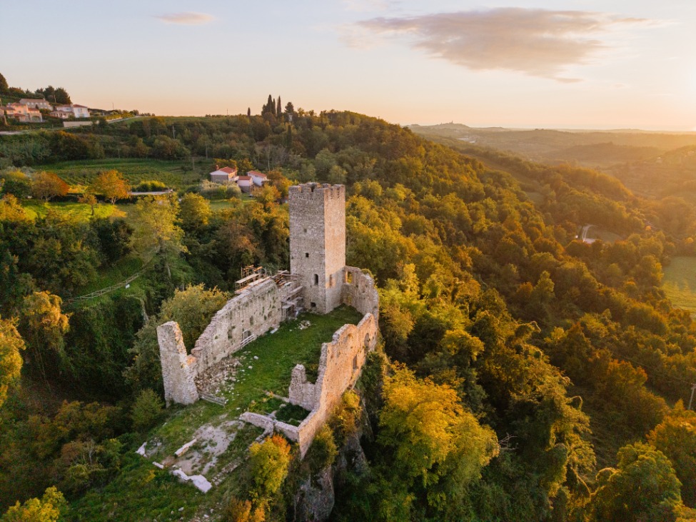 Colours of Istria tweet media