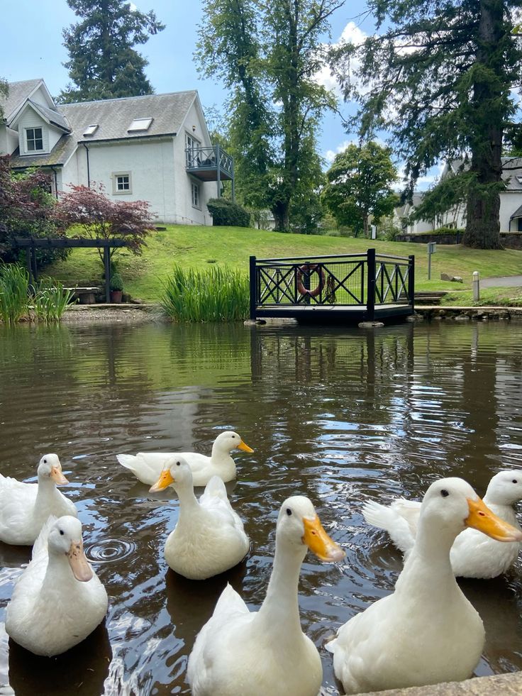 Blessed Afternoon 😊 

Half the day is done finish it with purpose💪