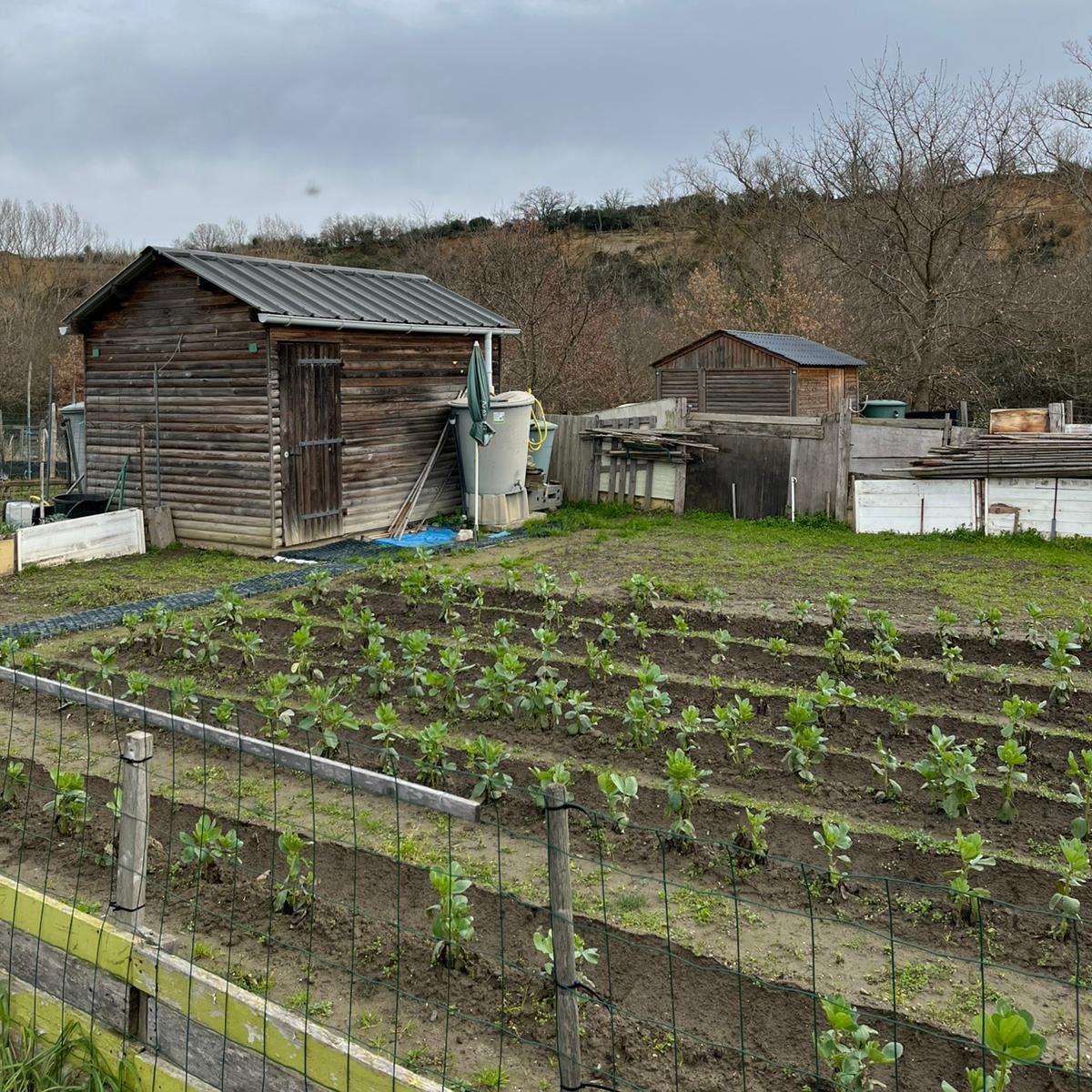 Unccas. Les élus locaux au service des solidarités tweet media