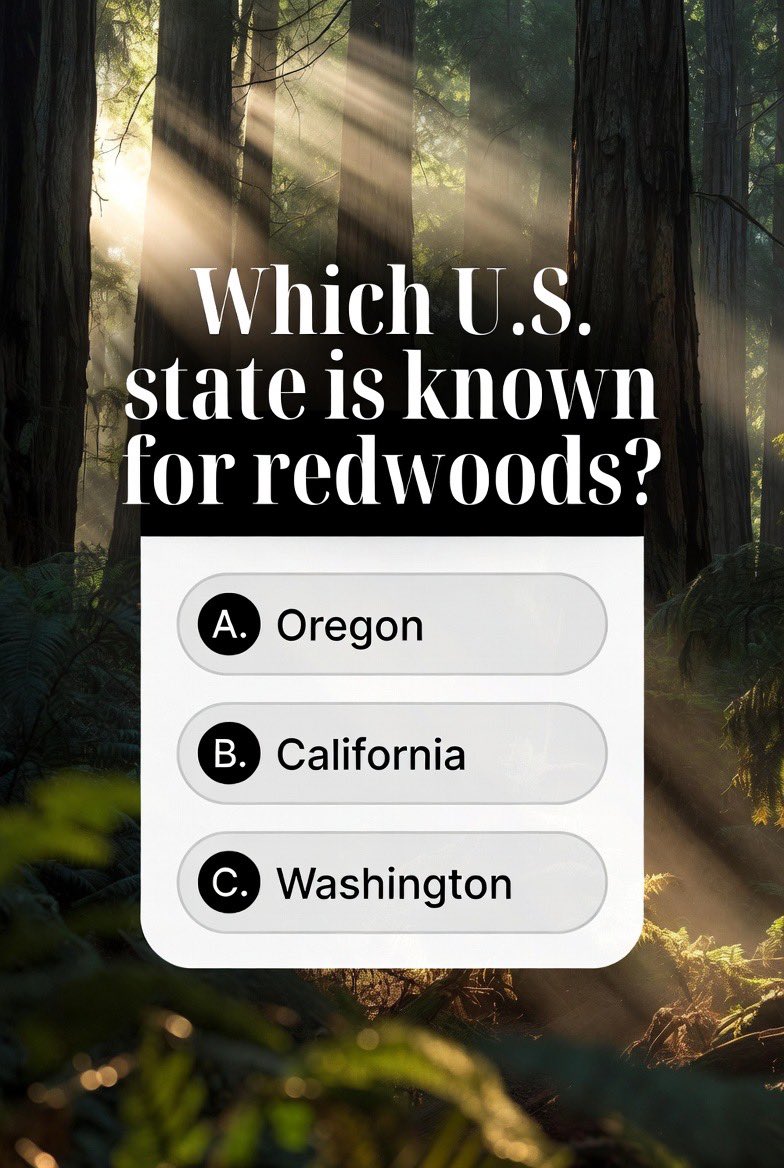 Which US  state is known as redwoods.