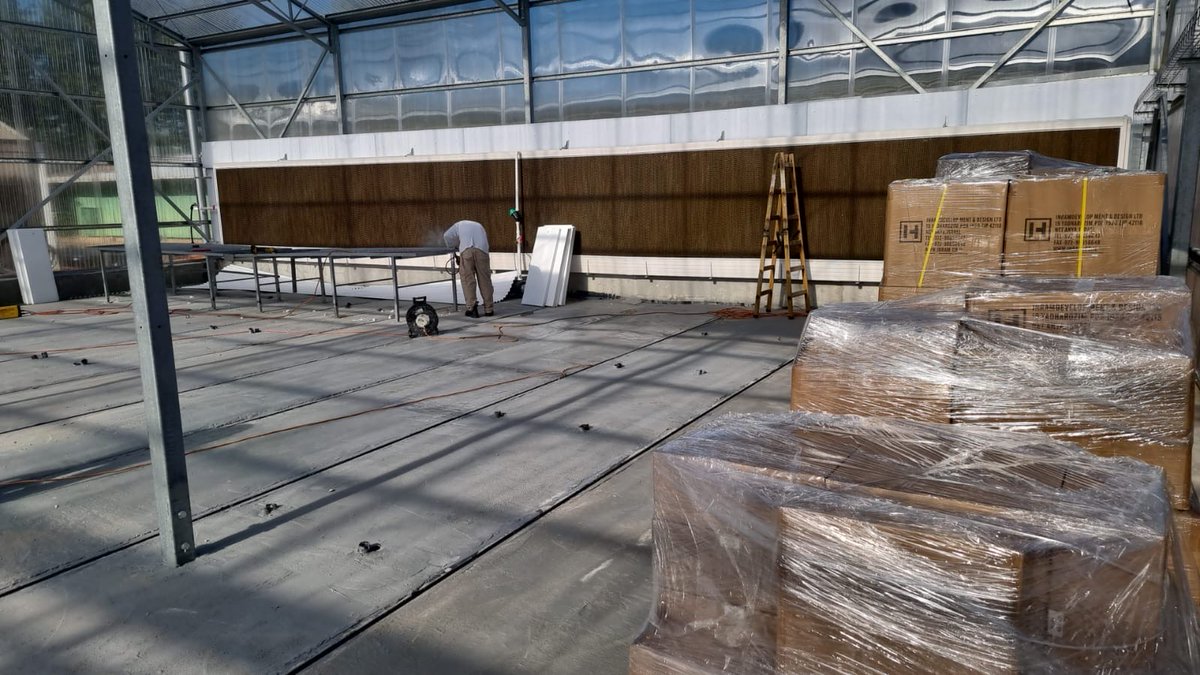 Plant-Ditech tweet media