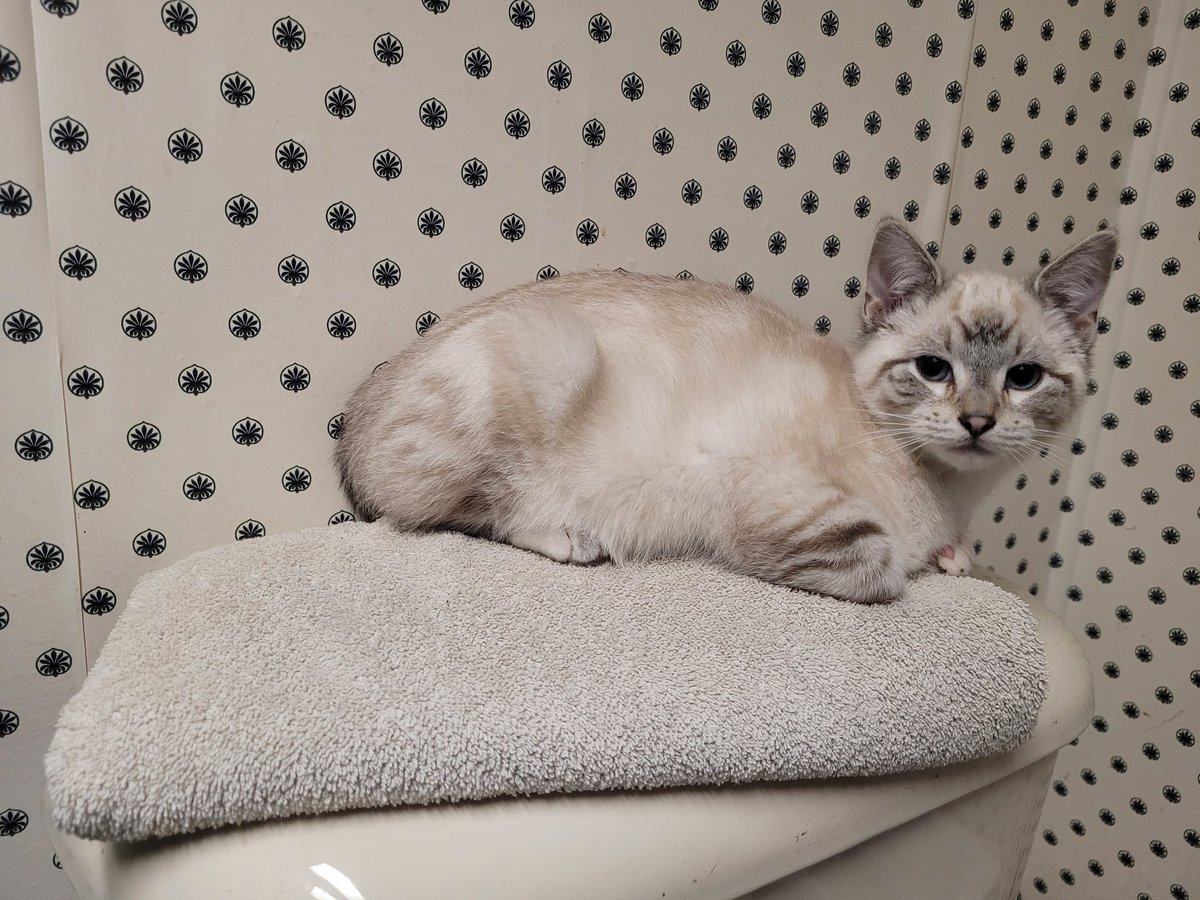 Hoff (@hoffphph) on Twitter photo 