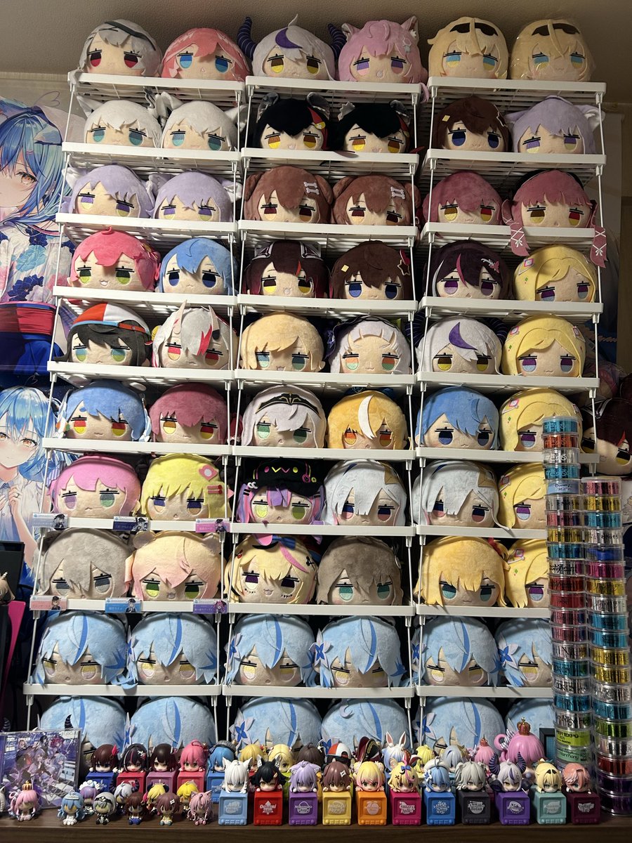 昔から集めることが好きで寝そべりぬい可愛いなと集め出したら止まらなくなり気付いたら全種類集まってましたw

FLOWGLOWとReGLOSSの寝そべり、IDやEN、ホロANなど寝そべりぬいになってくれることを期待してます(　-᷄ ᗜ -᷅ )

#ちはニックの日2026