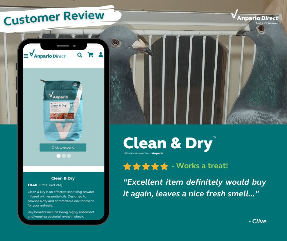 AnparioDirect's tweet photo. ✨New 5 STAR review✨

"Excellent item definitely would buy it again leaves a nice fresh smell [...]"

Thanks very much for your kind words! 💚

Try it today! https://t.co/49ZtEnmiwN

#NaturesAnswer #AnparioDirect https://t.co/PkgjC4Pj8w