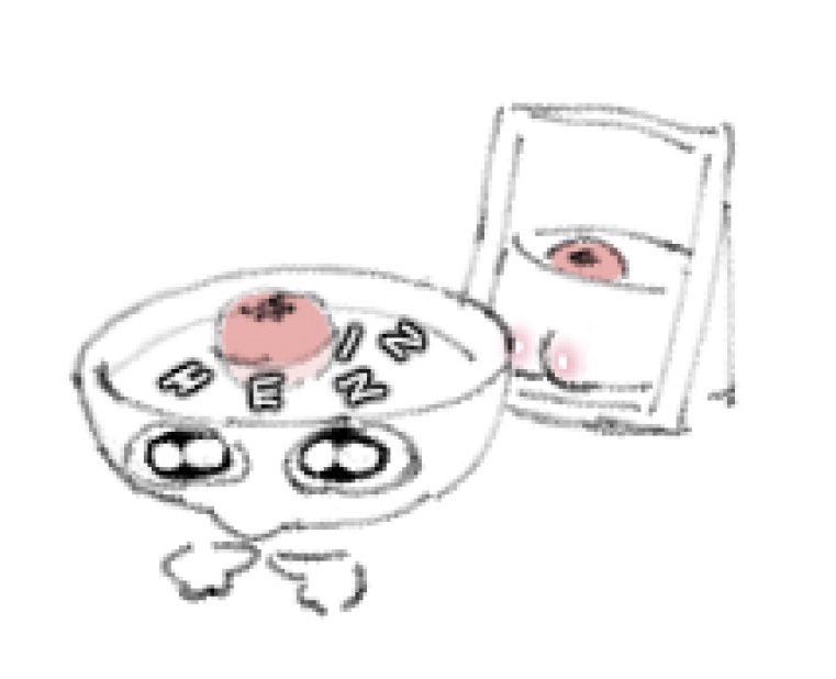 Ko 𐂯 Check 📌 tweet media