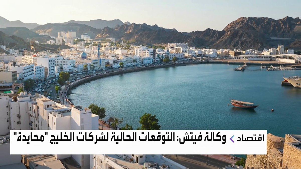 وكالة فيتش: التوقعات الحالية لشركات الخليج "محايدة" غداء عمل _Business 