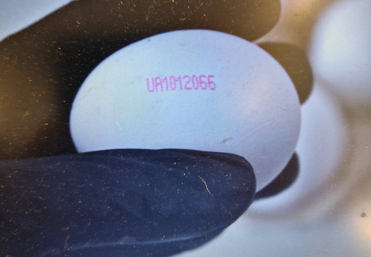 Deutschland 2026:

Eier aus Käfighaltung und Hühner mit verbotenen Antibiotika füttern - natürlich verboten.

Eier aus der Ukraine mit einem Gesundheitsrisiko - laut nationalem Komitee Frankreich - Geflügel das den Gang zum Arzt erspart - kein Problem.

Die Eier werden einfach