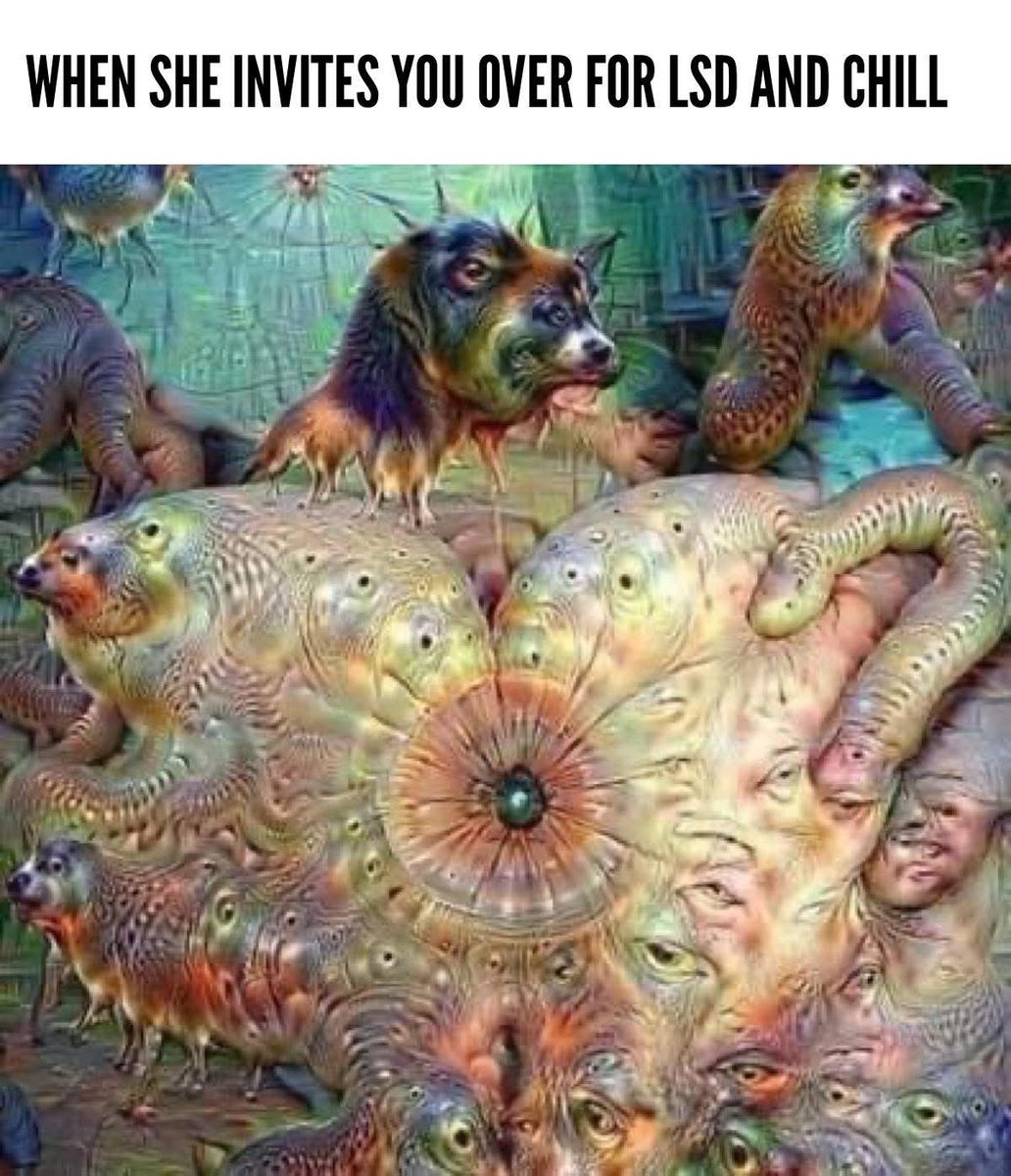 Spliffy Longstocking 🔥🌳💨 tweet media