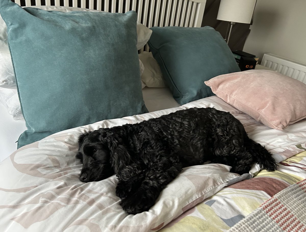 ByrneCocker's tweet image. Fact Number Eleventy Twelve about Naps:

There is nothing better than #freshsheets day. 

I’ll be here if you need me mum.
