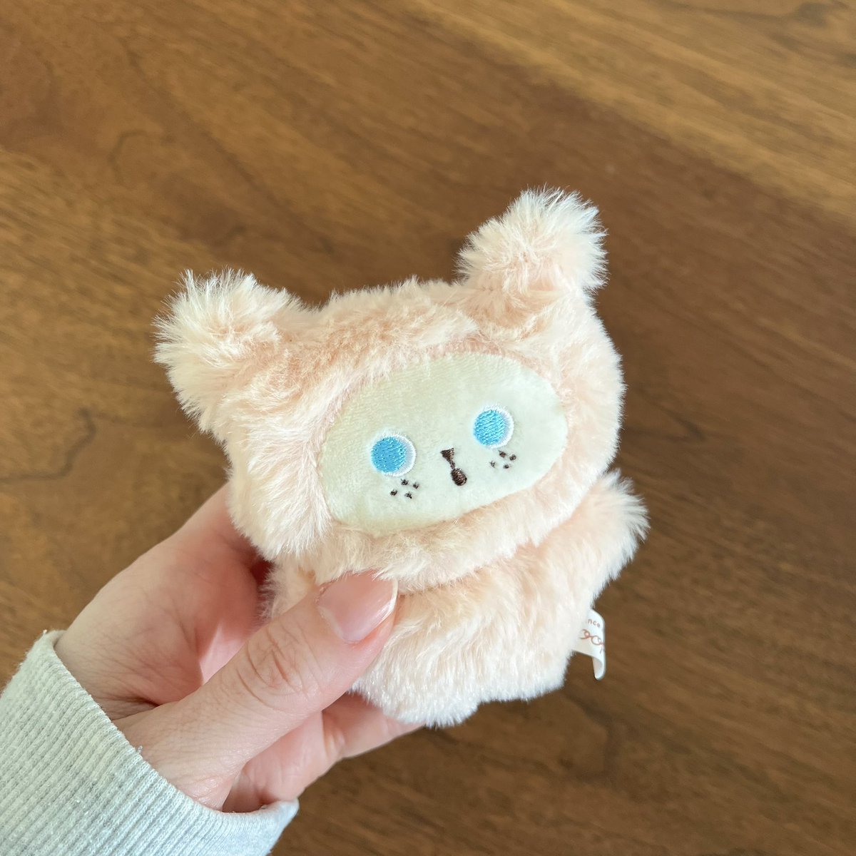 mofmofcloth's tweet photo. 子供が一目惚れしてガチャ3回回してた、ズッピーのぬいぐるみ✨
確かにもふもふで可愛い💕 https://t.co/nPbgzzFx6A