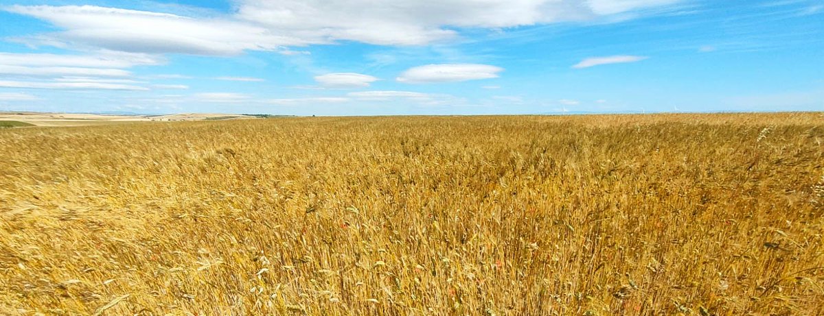 BioAcademy tweet media