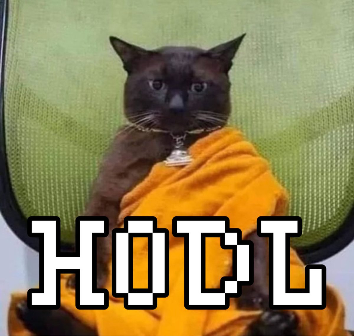 Gm fam 💚

Pacience reward those who wait.