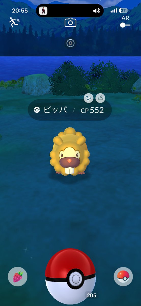 謎ビッパが昨日光りました✨ 357/365！ #ポケモンGO #色違い #ポケモン