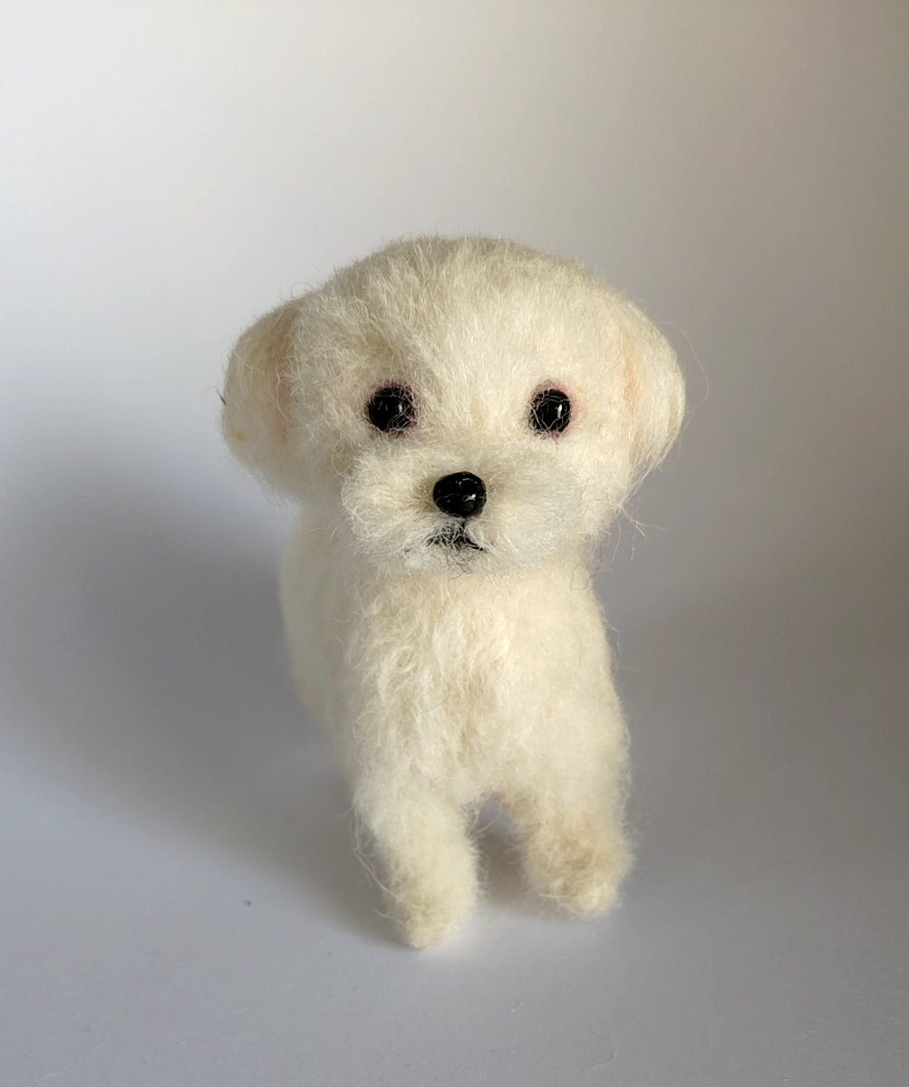 ハンドメイドの本を参考にしながら自然光で写真を撮りました。モデルは