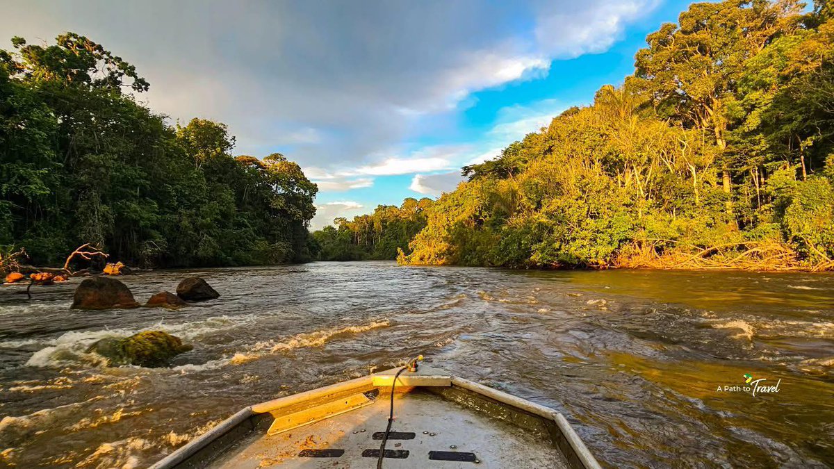 News Source Guyana tweet media