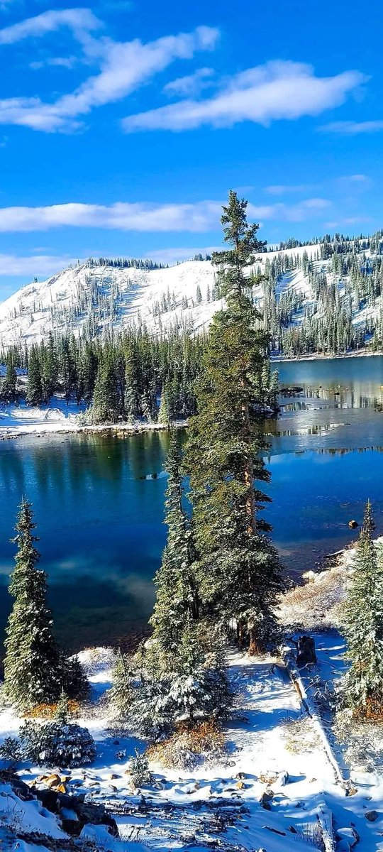 russcar10now's tweet photo. Good morning from Wyoming https://t.co/bQSRKTr8b1