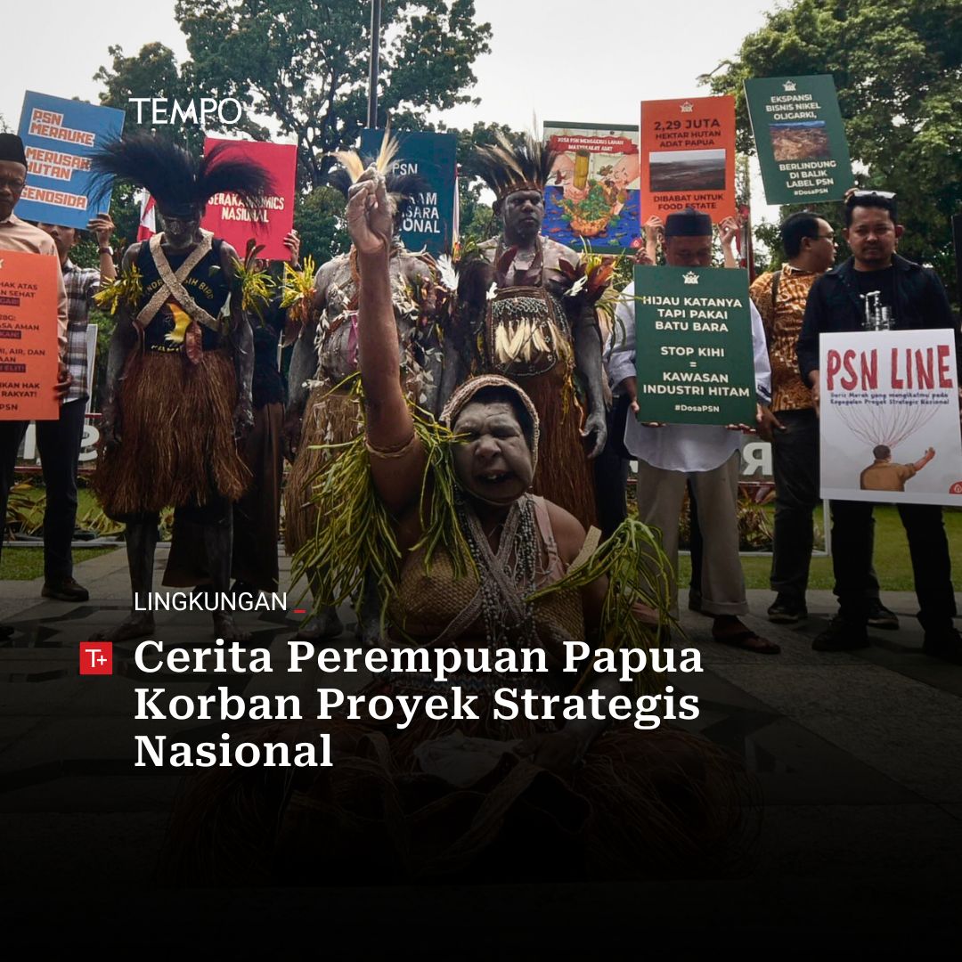 tempodotco's tweet photo. Ruang Domestik Dirampas Proyek Strategis Nasional, Perempuan Papua Paling Terdampak

#TempoPlus https://t.co/qMkX6jzufH