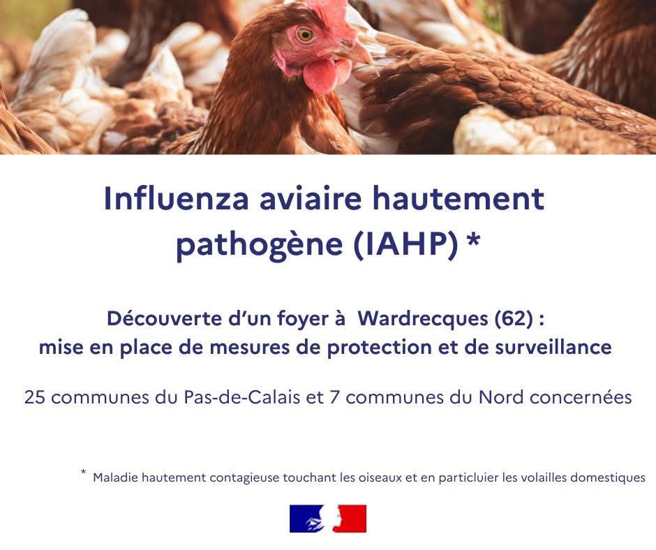 Image de Préfecture de la région Hauts-de-France et du Nord - #Information #InfluenzaAviaire

𝐃𝐞́𝐜𝐨𝐮𝐯𝐞𝐫𝐭𝐞 𝐝’𝐮𝐧 𝐟𝐨𝐲𝐞𝐫 𝐚̀ 𝐖𝐚𝐫𝐝𝐫𝐞𝐜𝐪𝐮𝐞𝐬 