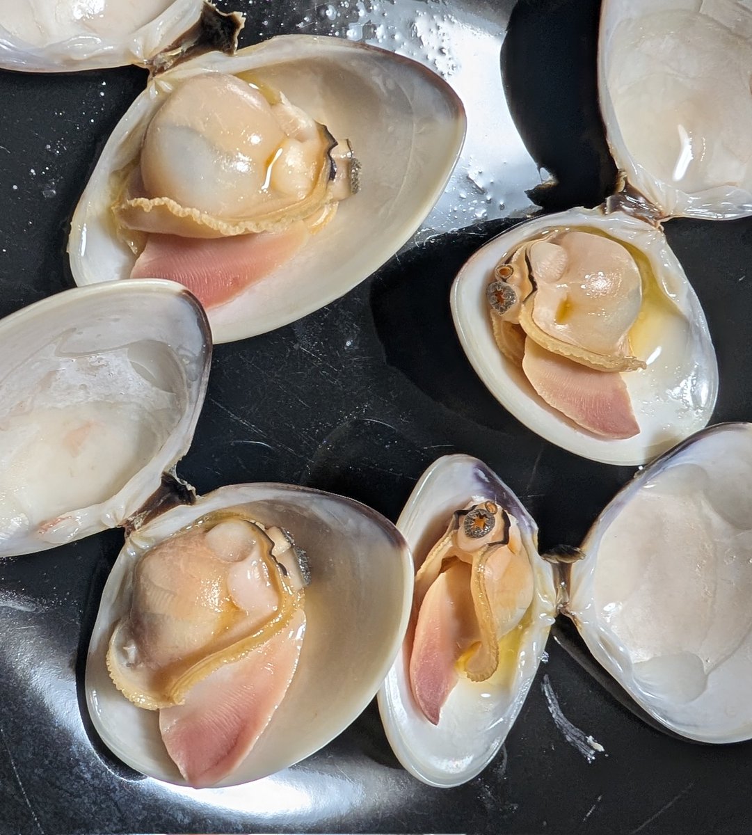 魚屋で980円のお得な寿司と蛤を買いました。