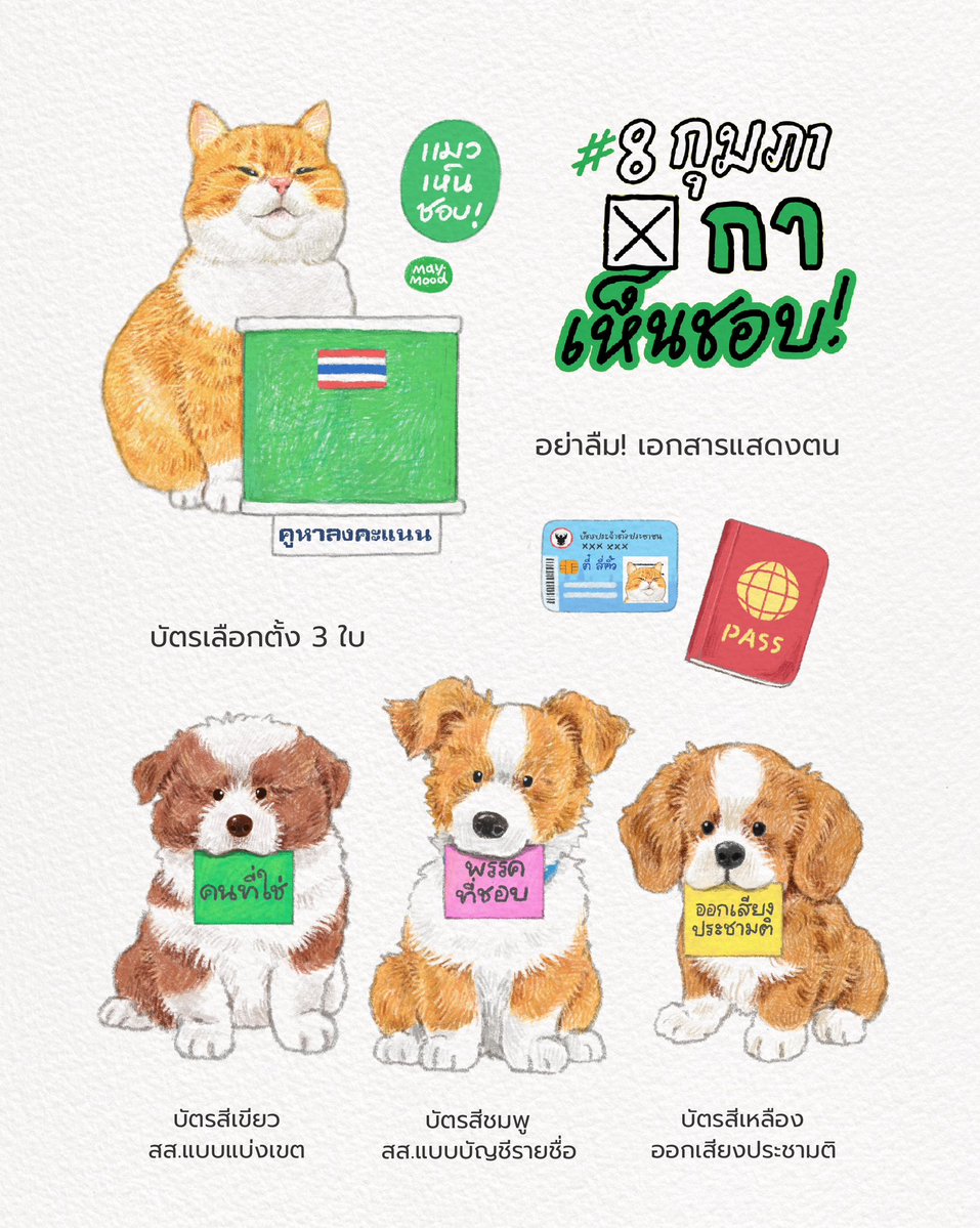maym00d's tweet image. #8กุมภากาเห็นชอบ