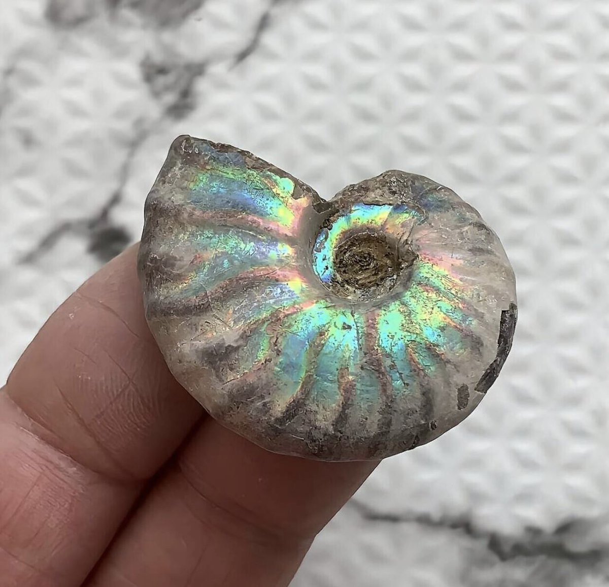 マダマダマダガスカル (@xkpSNxcigsIRTGZ) / Posts / X