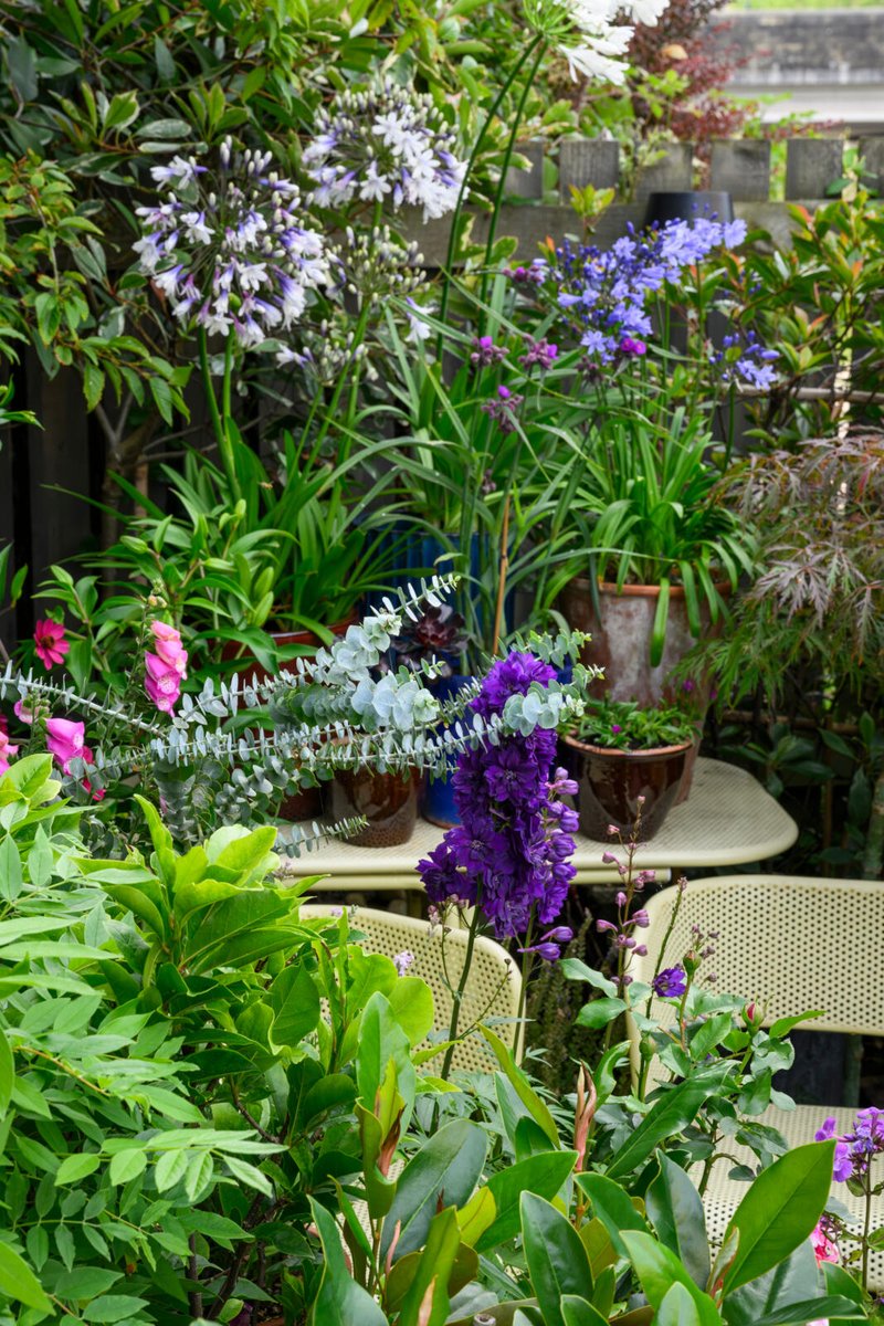 BBC Gardeners' World Mag tweet media