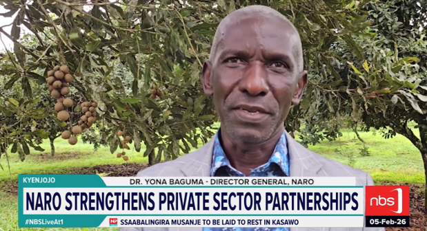 NBS Television tweet media