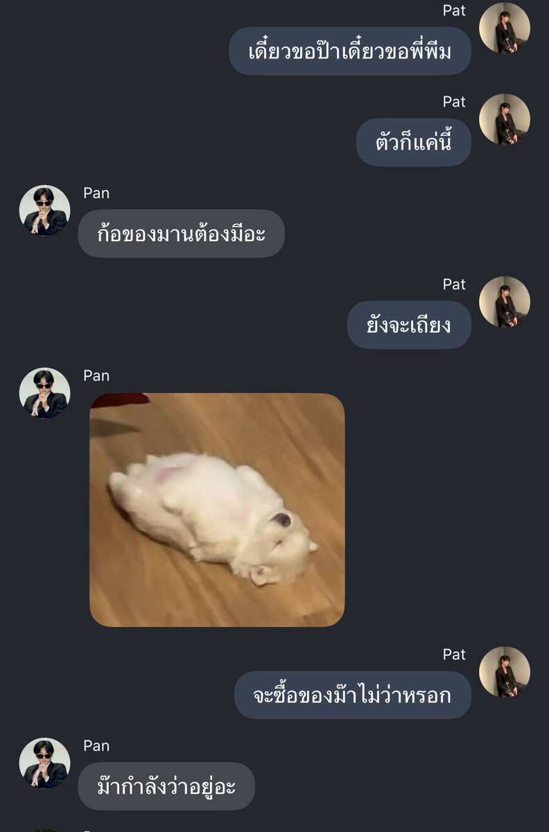 กาย (ᓀ‸ᓂ) tweet media