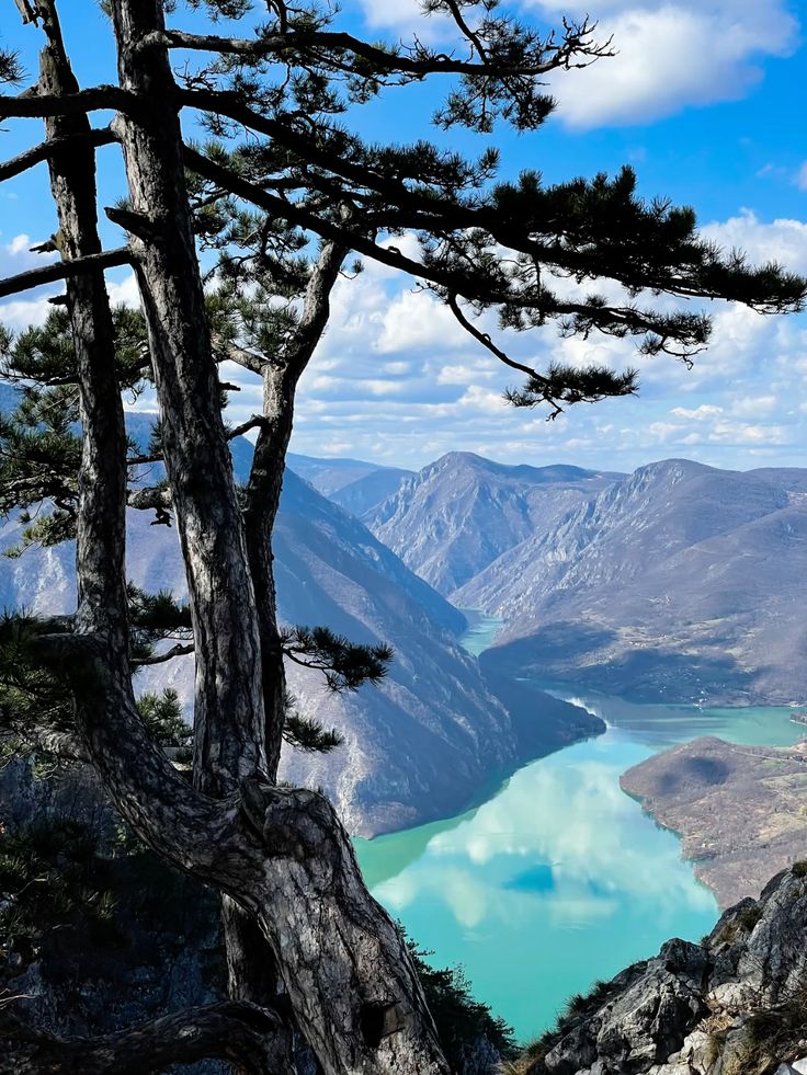 Yugoslavian Visuals tweet media