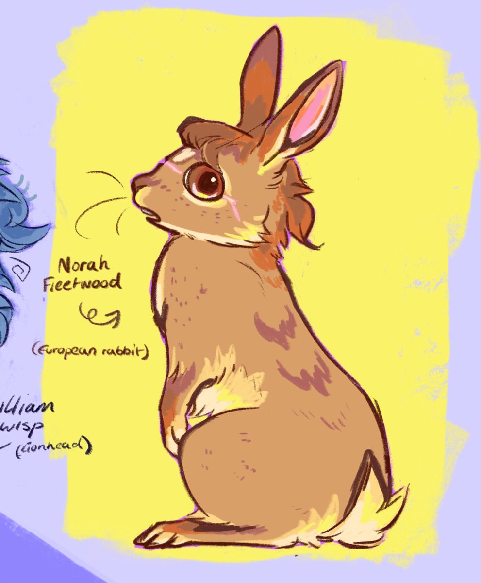 ➣↞;;;;֊ᐷ tweet media