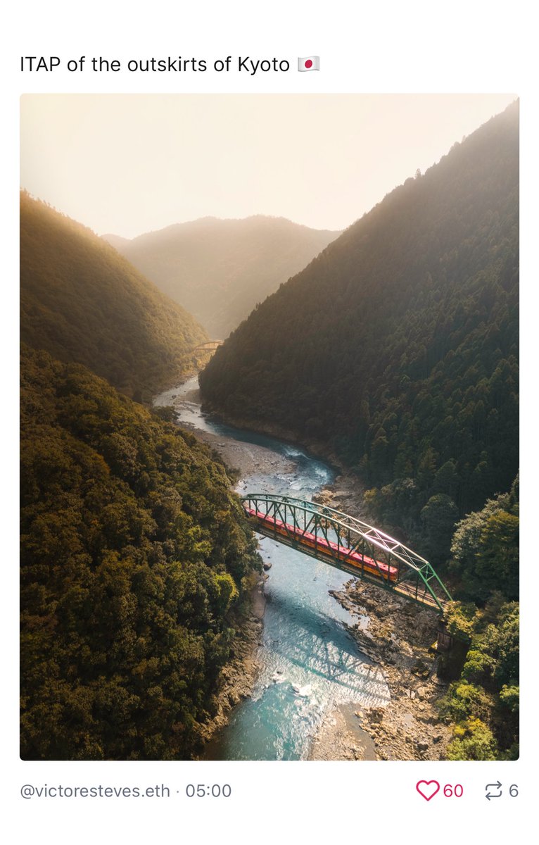 notbylght tweet media