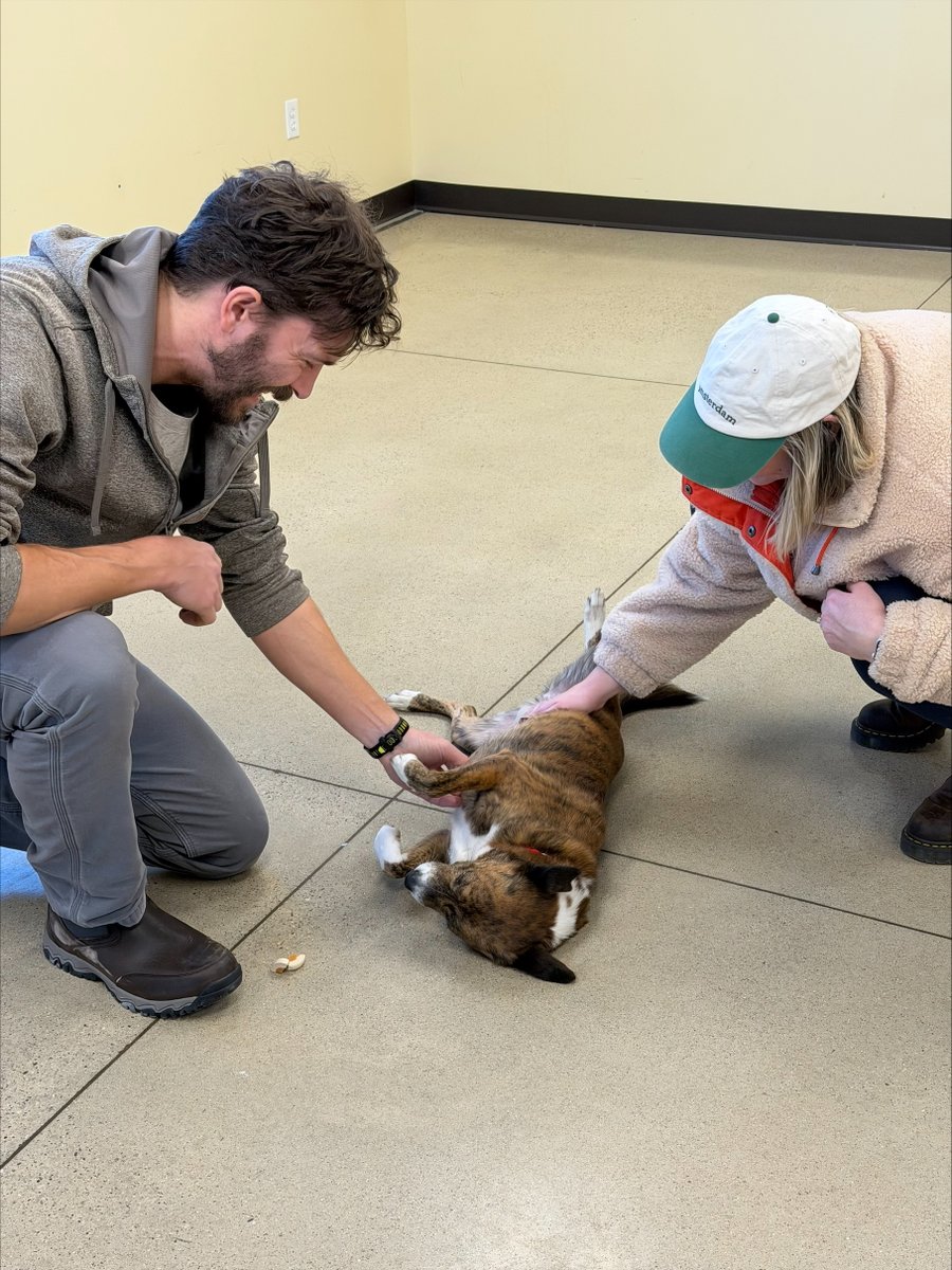 Mayo Clinic Neurology Residency tweet media