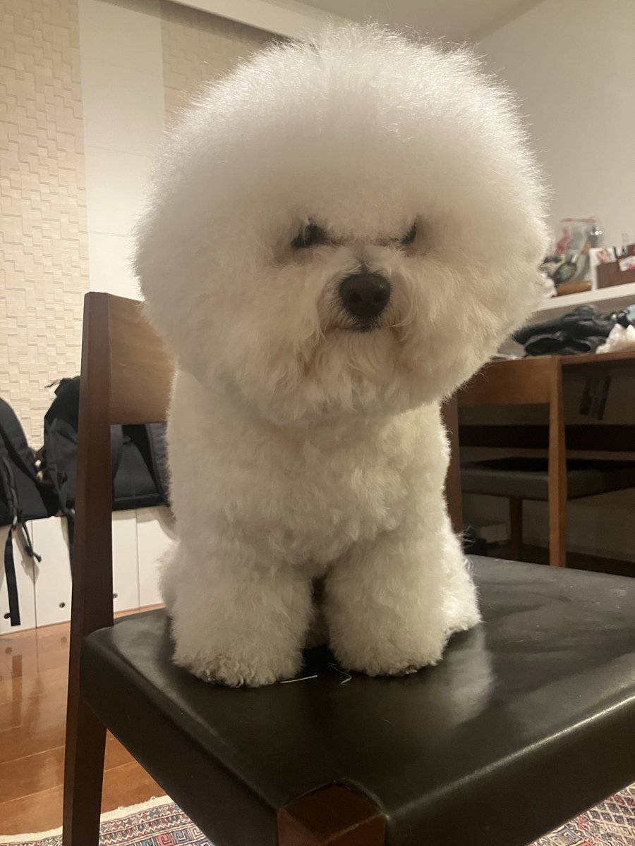 洗ったら爆発した。