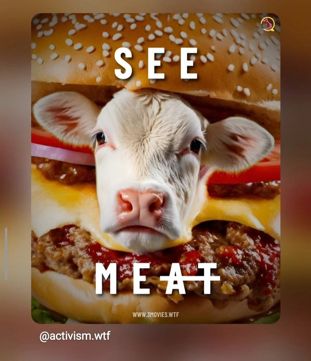 🐮❤️ Stop seeing 'meat' and start seeing someone.