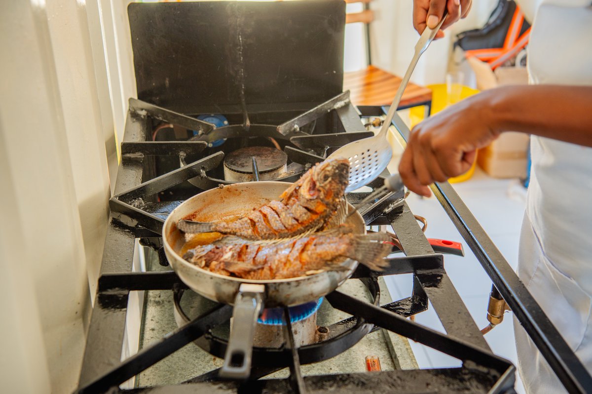 Youth in Sustainable Aquaculture (YISA) Kenya tweet media