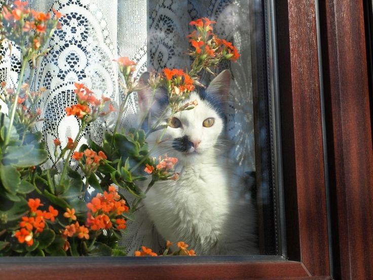 nur (@thtrainwreck) on Twitter photo 